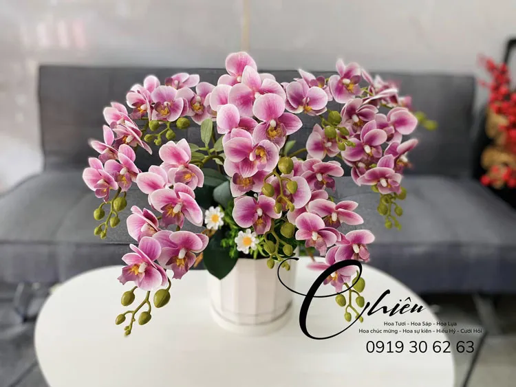 Lan hồ điệp Bạc Liêu đảm bảo chất lượng dịch vụ điện hoa uy tín, chuyên nghiệp và hoàn hảo nhất