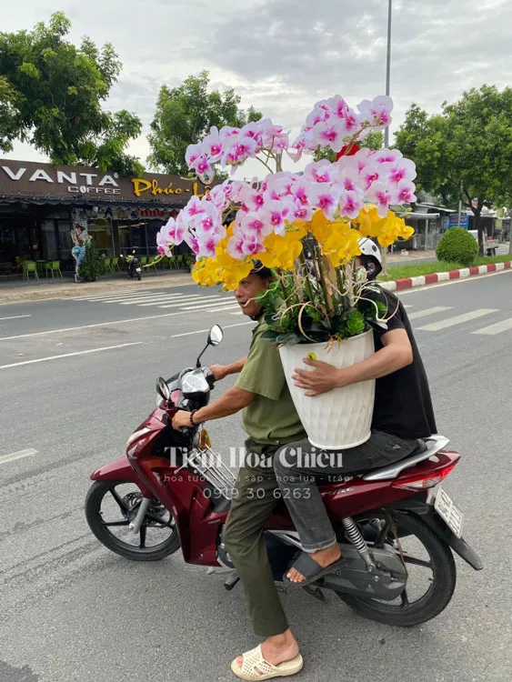 Lan hồ điệp Bạc Liêu đảm bảo chất lượng dịch vụ điện hoa uy tín, chuyên nghiệp và hoàn hảo nhất