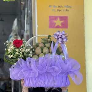 GIỎ TRÁI CÂY GTC008