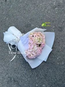 Shop hoa tươi gần đây tại Bạc Liêu CHIÊU giao hoa chất lượng nhanh chóng tận nơi