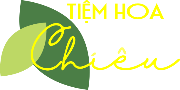 Tiemhoachieu