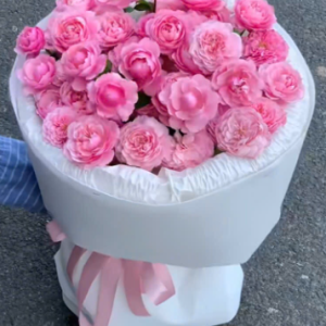 HOA BÓ TIỂU MUỘI 0057