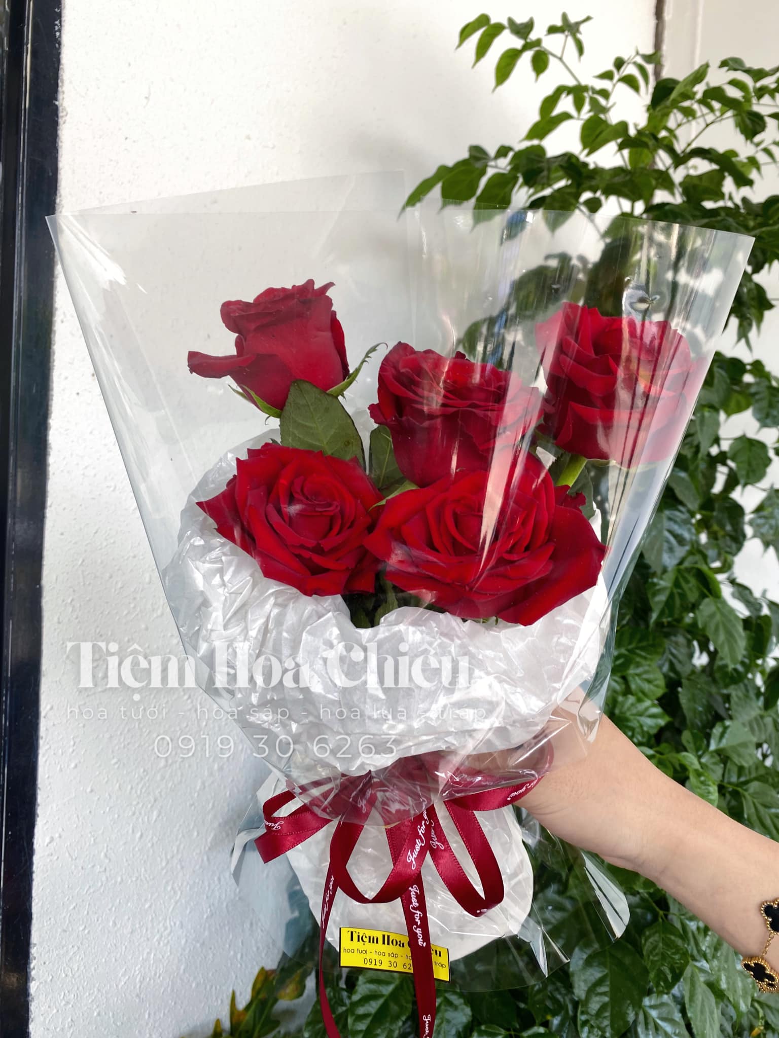 Hoa Bó đỏ from tròn 00169