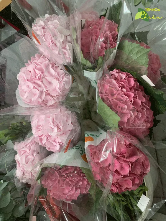 Dịch vụ điện hoa giá rẻ là gì? Khám phá dịch vụ giao hoa đặc biệt