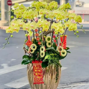 Đặt hoa lan hồ điệp Bạc Liêu tặng khai trương ý nghĩa sâu sắc về sự thịnh vượng, may mắn và trường thọ.