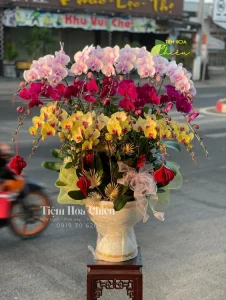 Cửa hàng hoa tươi đặt lan hồ điệp Bạc Liêu biểu tượng của sự may mắn, tài lộc và khả năng sinh sản