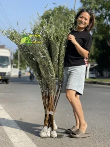 Cắm hoa tươi hương vị TẾT đáng nhớ nhất, kết nối tình thân, trọn vẹn ý nghĩa ngày xuân 2026.
