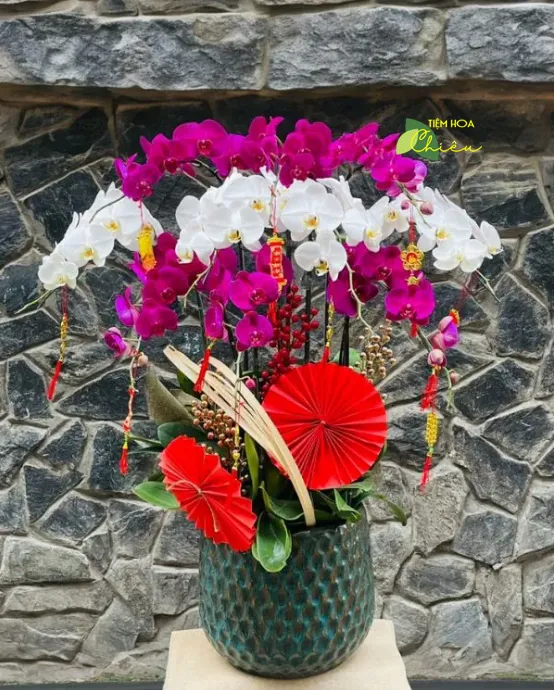 Cửa hàng hoa tươi đặt lan hồ điệp Bạc Liêu biểu tượng của sự may mắn, tài lộc và khả năng sinh sản