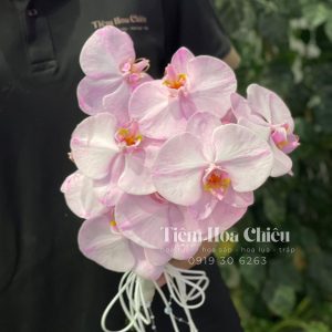 Hoa Cưới Lan Hồ Điệp HCD051