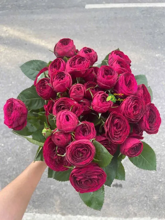 Cửa hàng hoa Bạc Liêu - Đặt hoa hồng đỏ Red Velvet cảm xúc chân thành cùng lời yêu thương sâu sắc nhất.