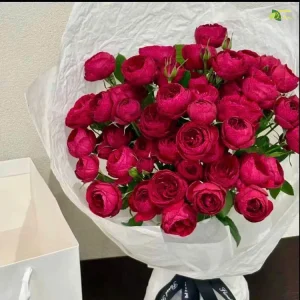 Cửa hàng hoa Bạc Liêu - Đặt hoa hồng đỏ Red Velvet cảm xúc chân thành cùng lời yêu thương sâu sắc nhất.
