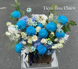 Shop bán hoa Bạc Liêu - Đặt hoa ngày phụ nữ Việt Nam 20 10 tinh tế, giá hợp lý, giao nhanh trong 30 phút.