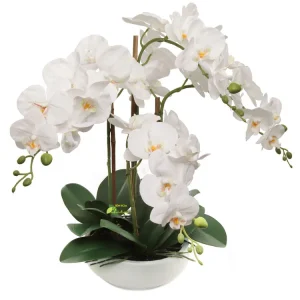 Lan hồ điệp biểu thị sự cân bằng hoàn hảo trong phong thủy, mang lại nguồn vượng khí dồi dào và năng lượng tích cực.
