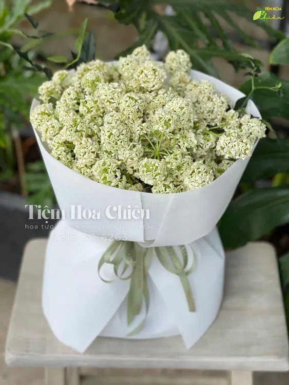 Shop bán hoa gần đây CHIÊU - Đặt bó hoa tươi cách tuyệt vời để thể hiện tình cảm, lời chúc và sự trân trọng người tặng.
