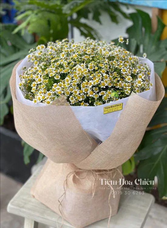 Shop hoa Bạc Liêu - Đặt bó hoa tươi thể hiện tình cảm và gửi lời chúc phúc tới người quan trọng trong cuộc sống.